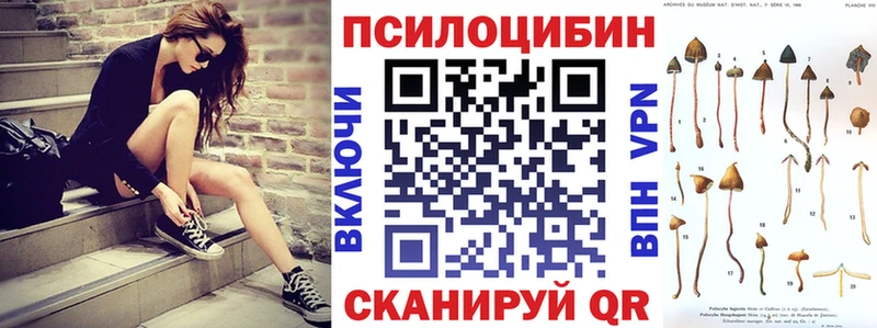 Псилоцибиновые грибы прущие грибы  нарко площадка Telegram  Десногорск  как найти закладки 